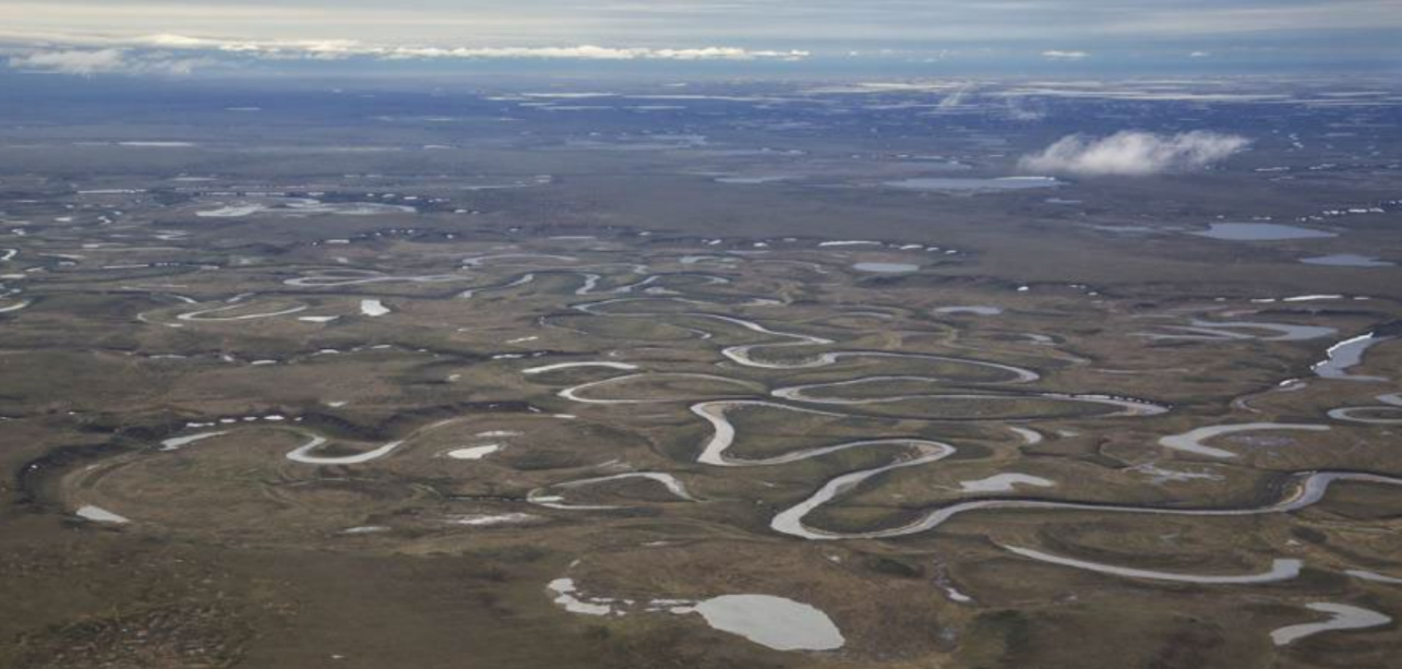 Luftaufnahme von gewundenen Flussläufen und kleinen Seen in einer weiten, flachen Landschaft